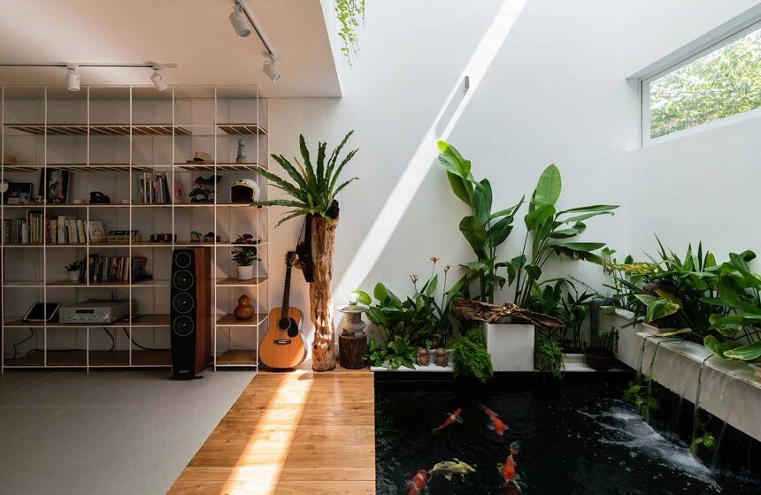 Có nên thiết kế hồ cá koi mini trong nhà hay không?