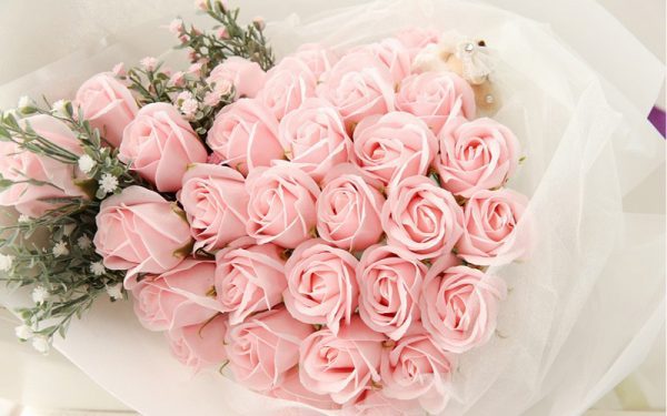 Hoa hồng phấn – Những ý nghĩa về tình yêu chưa ai biết của loại hoa này